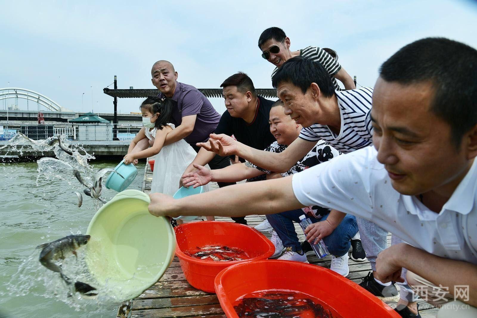 最新渔业水质标准及其对渔业发展的深远影响