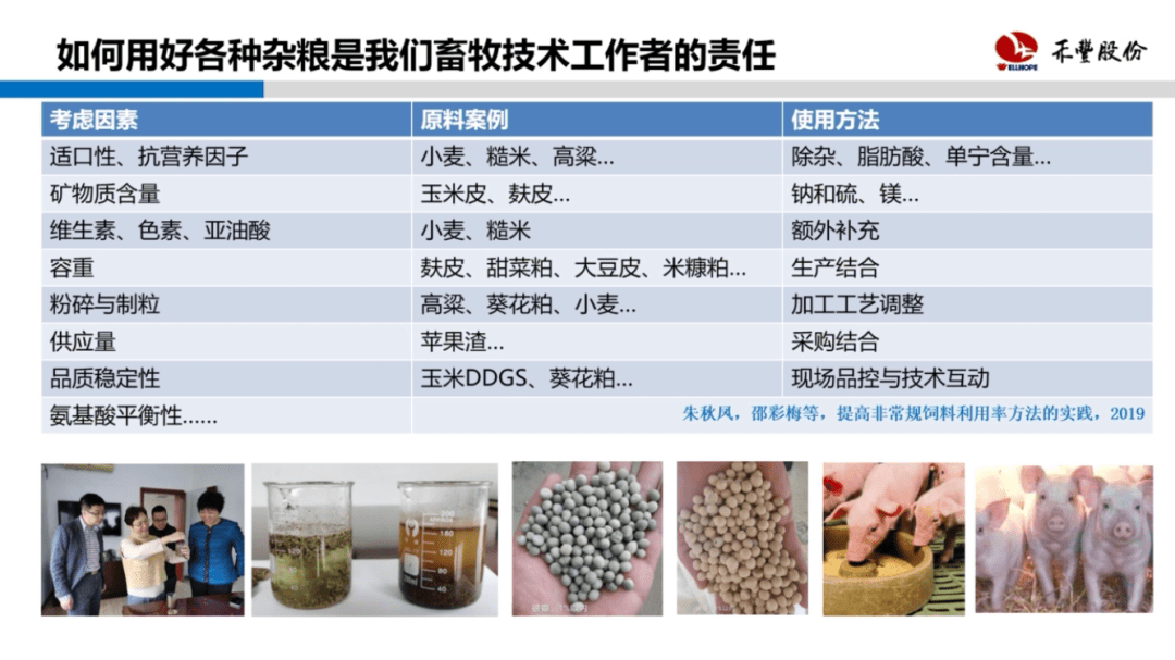 新奥天天彩正版免费资料,诠释解析落实_Prestige38.261