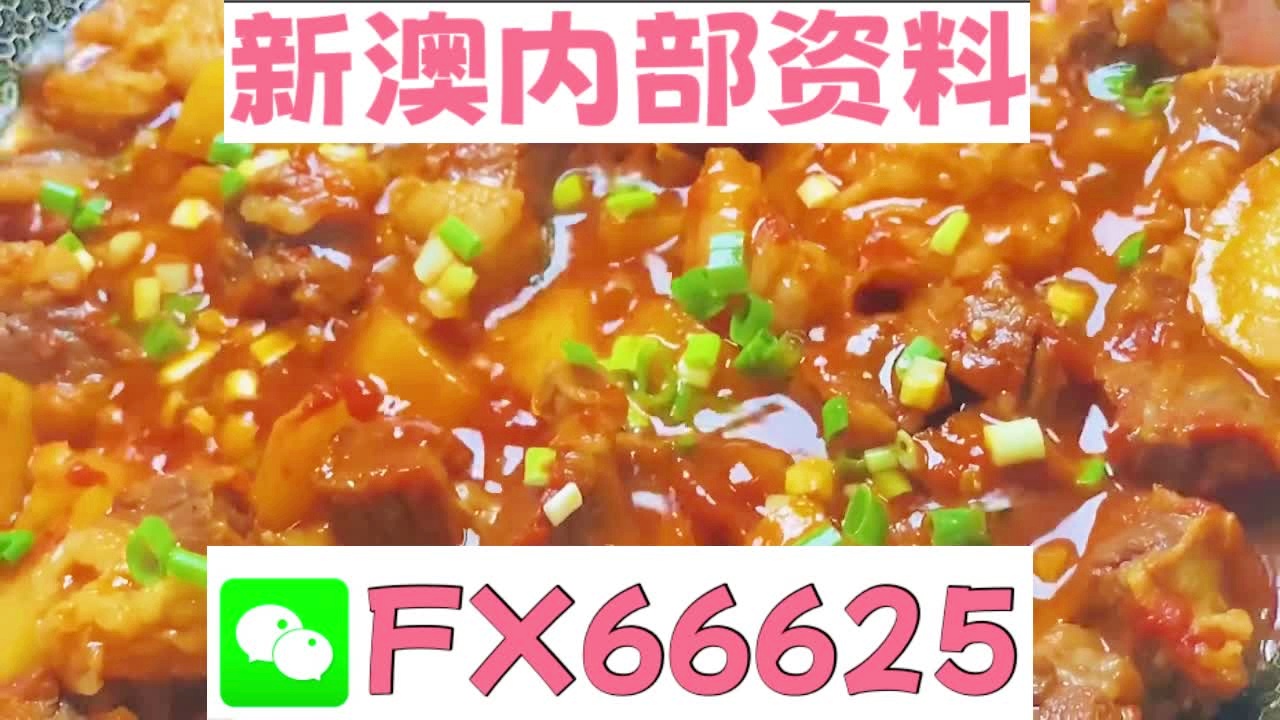 新奥长期免费资料大全,全面计划执行_SHD55.205