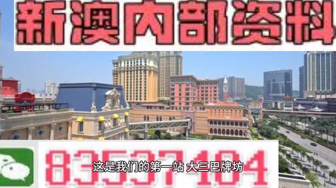 2024澳门正版精准免费,专家说明解析_户外版13.846