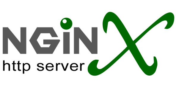 最新Nginx版本探索，性能优化与功能升级指南