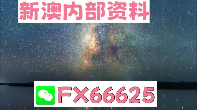 2024新澳天天彩免费资料大全查询,效率解答解释落实_战略版18.536