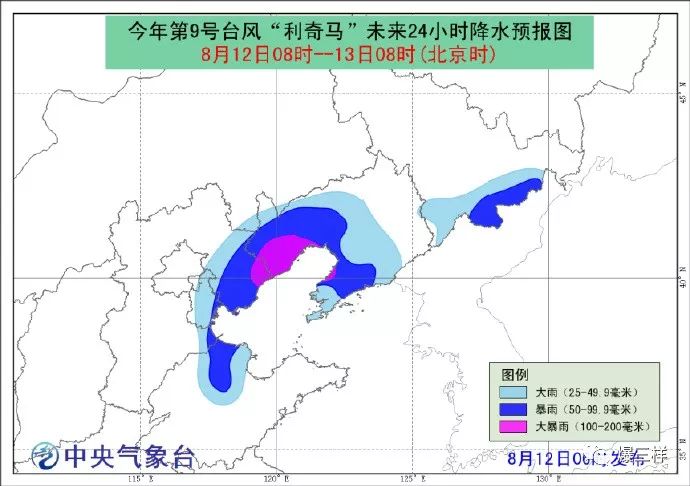 山东青岛台风最新消息，实时动态与应对策略