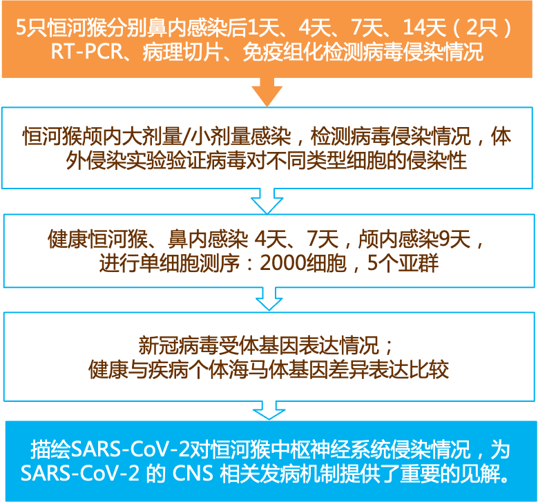 新奥资料免费精准双单｜精选解释解析落实