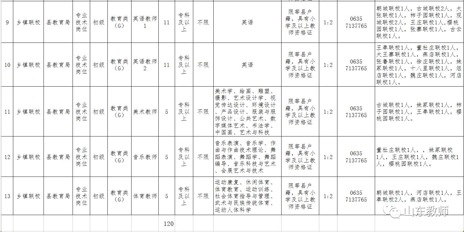 莘县招聘网最新动态，人才招聘启航新起点