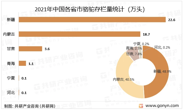 2024新澳最精准资料｜全面数据应用分析