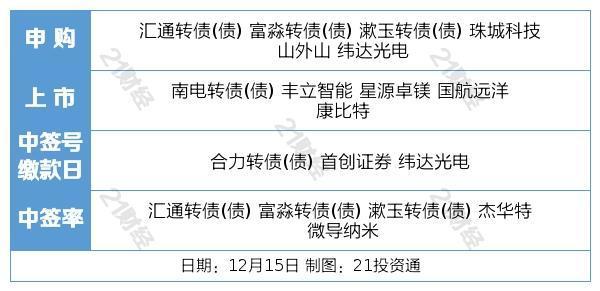 2024年12月17日 第46页