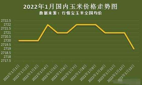 周口玉米价格最新行情概览