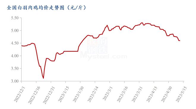 白羽鸡今日最新价格与市场动态分析