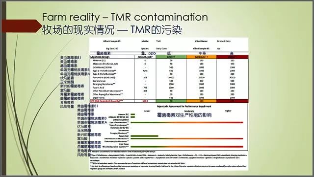 新澳好彩免费资料查询最新版,仿真技术方案实现_专业款11.210