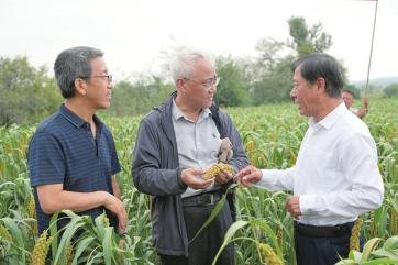 雨后彩虹