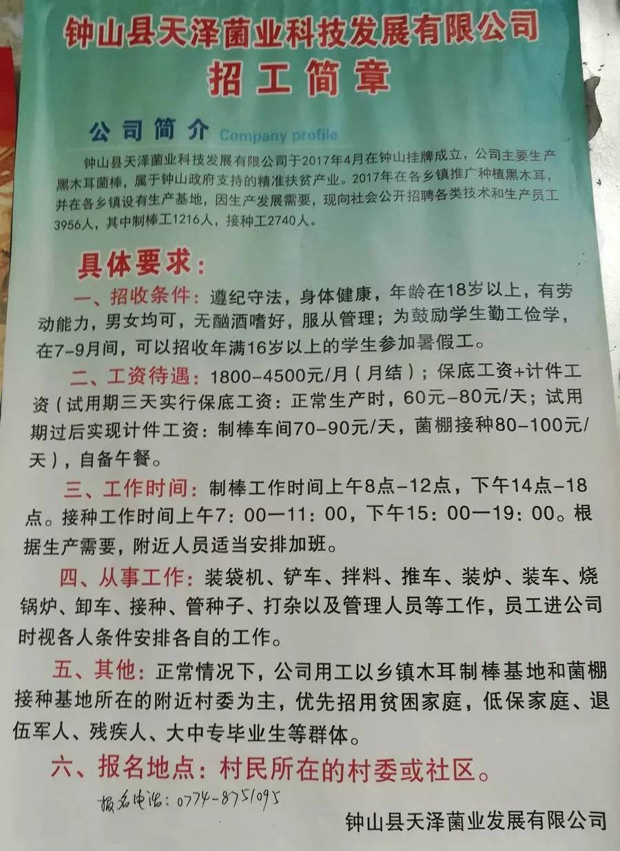 塘沽西区最新招聘信息全面汇总