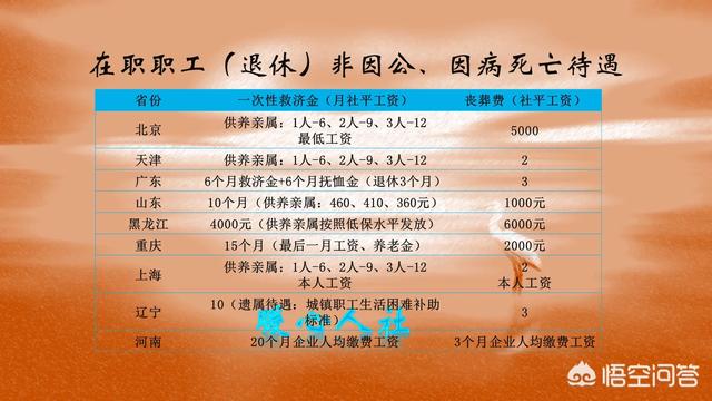 最新退休干部死亡待遇解析与人文关怀关怀重视