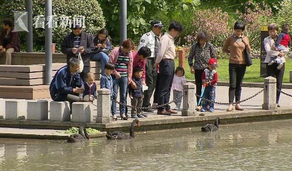 公园老人偷吃现象，观察与深思