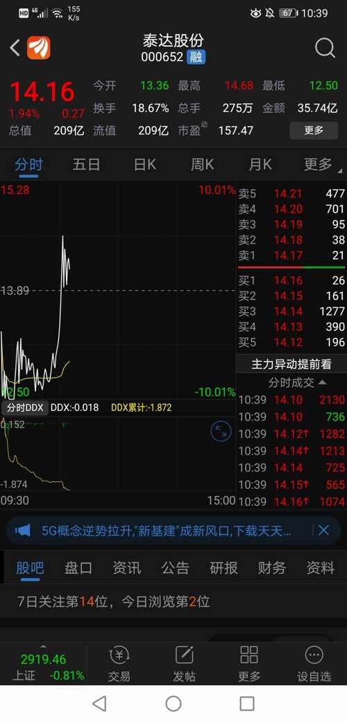 泰达股票最新消息深度解析