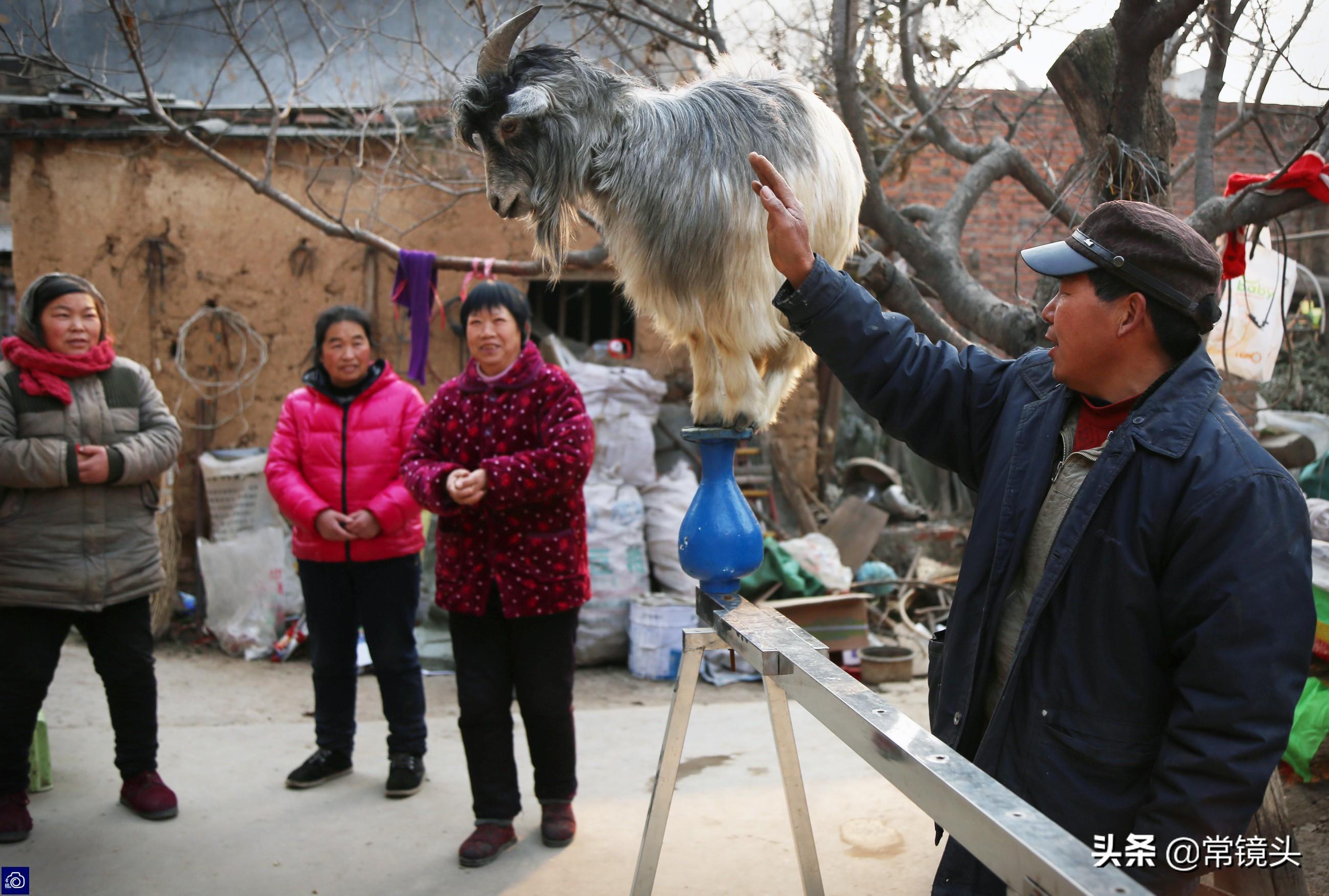 偃师缑氏地区最新新闻聚焦