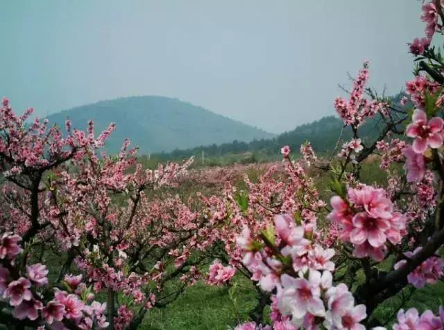 芜湖非法码头整治行动取得显著成效，最新消息汇总