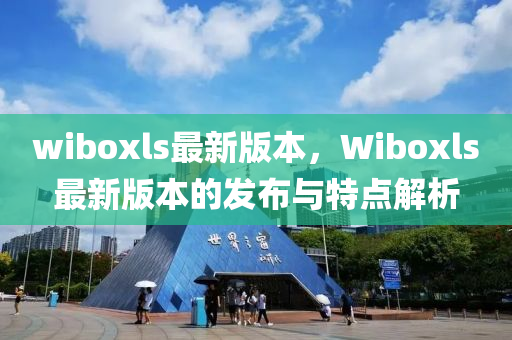 Wiboxls最新版本下载与使用指南大全