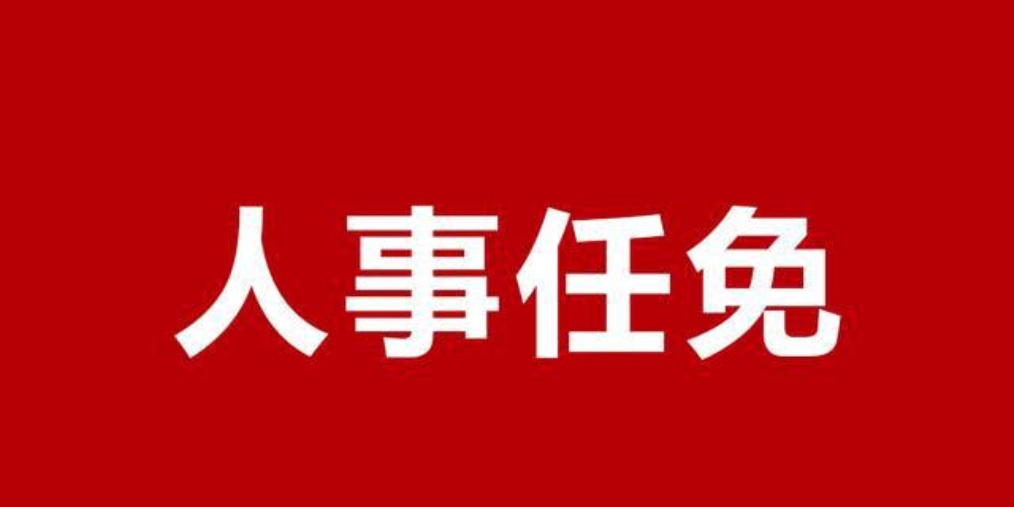 保定市最新干部任免动态通知