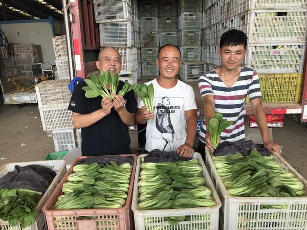 河南万邦蔬菜最新价格一览