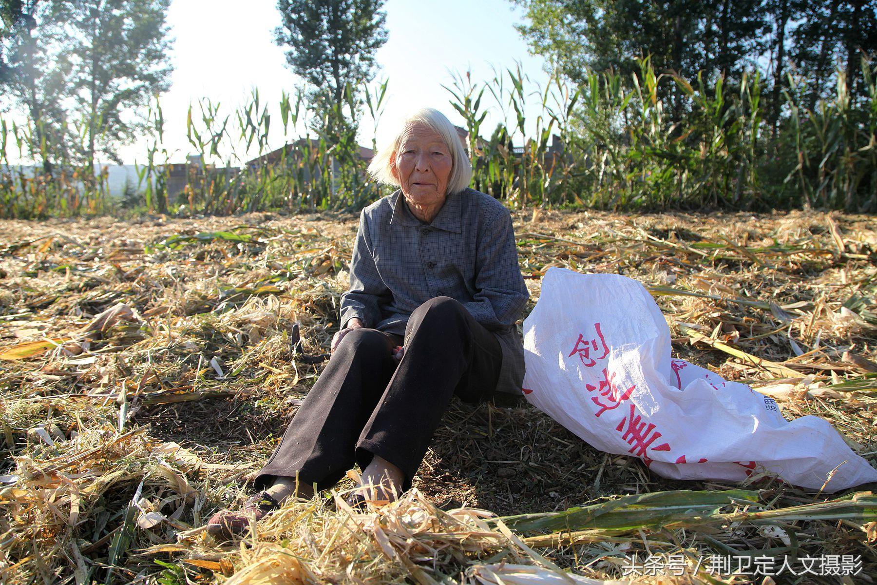 农村新桥，连接乡村与未来的纽带