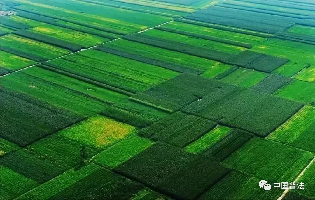 最新土地权变革，挑战与应对