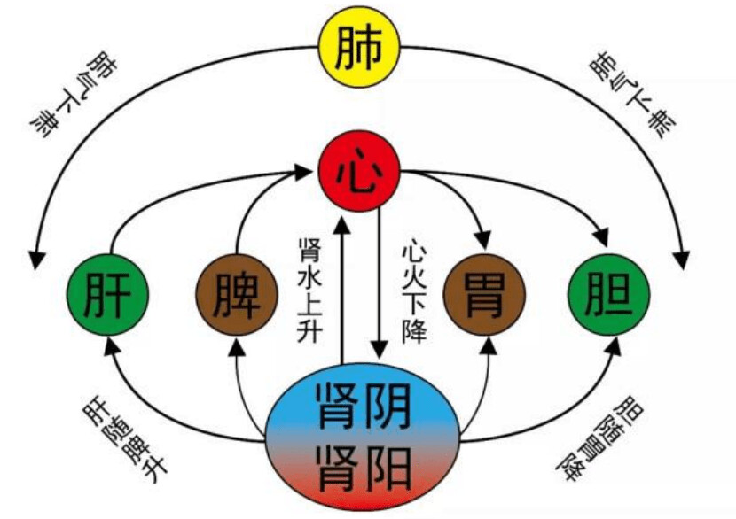 全球最新疫情分布，健康挑战与应对策略概览