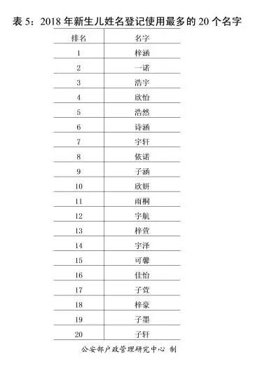 苗姓的最新排名及其文化意义探究