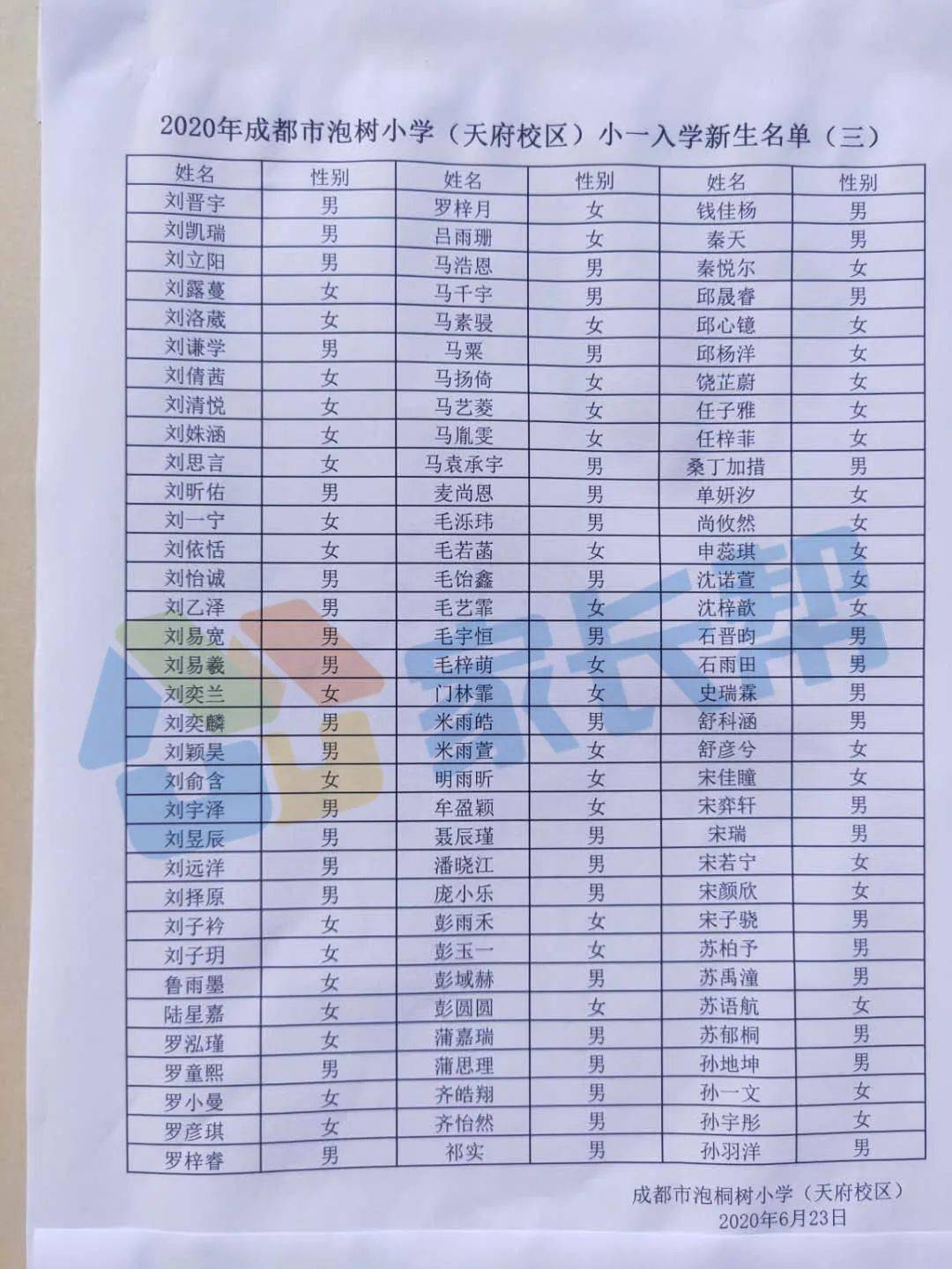 成都小学最新排名，教育质量、特色教育及未来展望概览